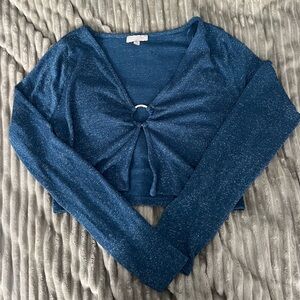Sparkle Long Sleeve Blue Top